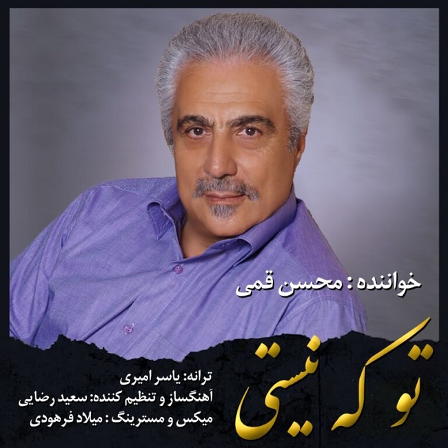 دانلود آهنگ تو که نیستی